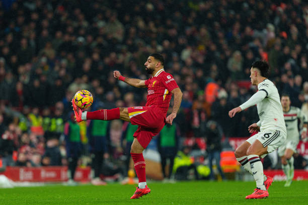 仅仅是一支 仅仅是一支