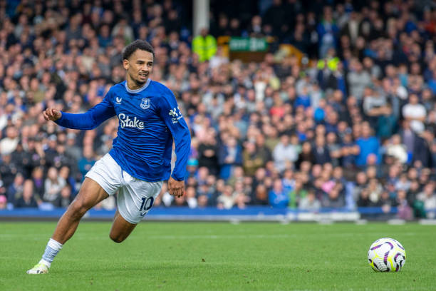 迪迪的吸引 迪迪的吸引