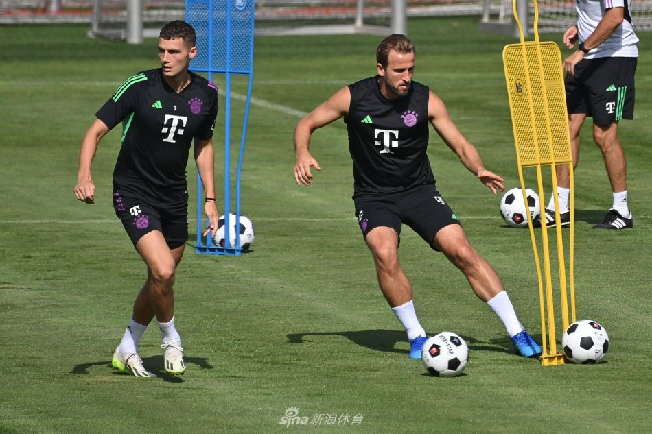 的默契往往 的默契往往